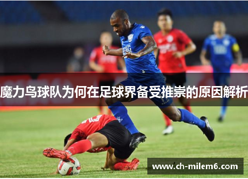 魔力鸟球队为何在足球界备受推崇的原因解析